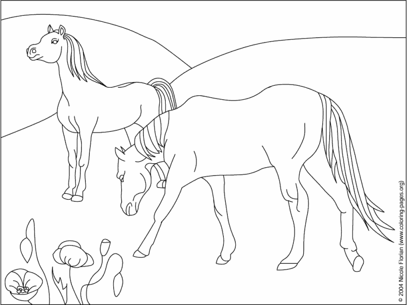 Horses Coloring Love