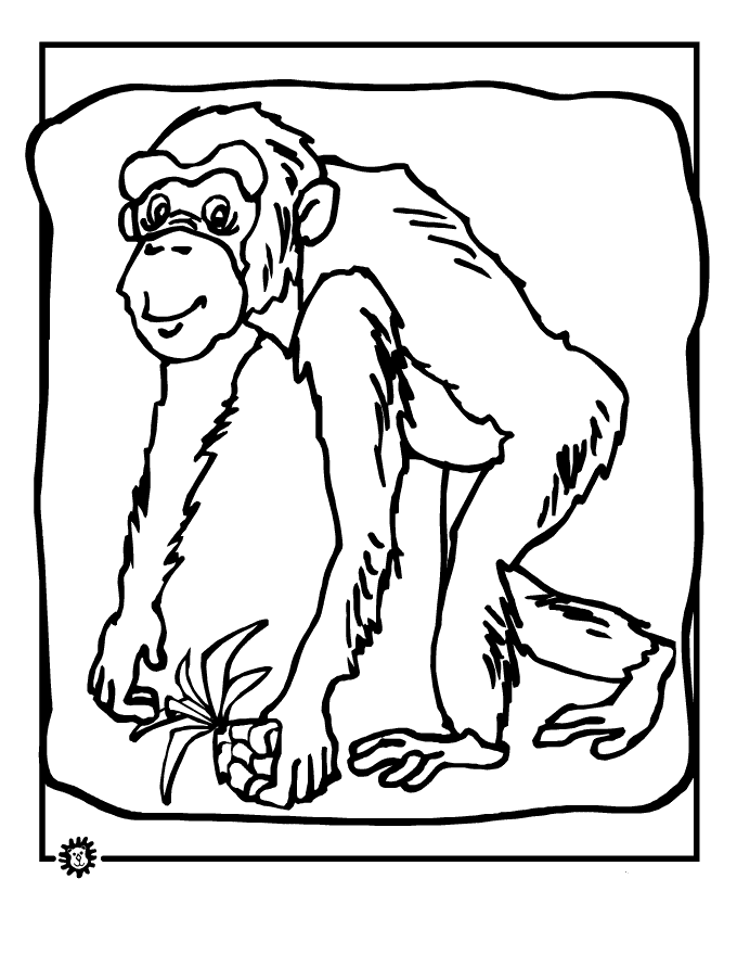 Chimpanzee Coloring Pages 179 | Free Printable Coloring Pages