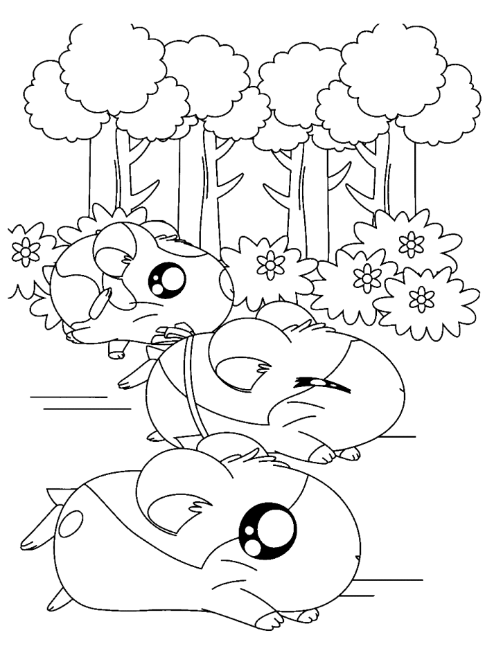 Hamsters Coloring Pages - Coloring Home