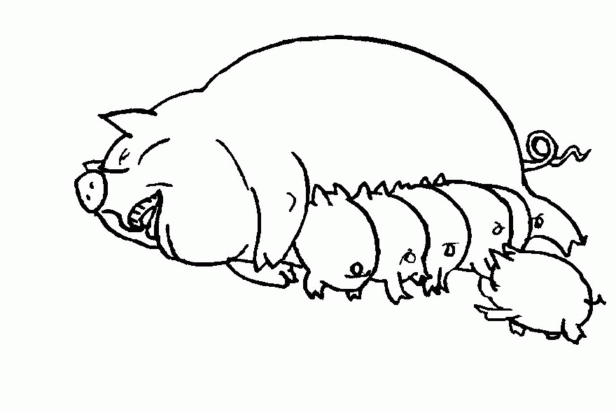 Guinea Pig Coloring Pages To Print: Guinea Pig Coloring Pages To Print
