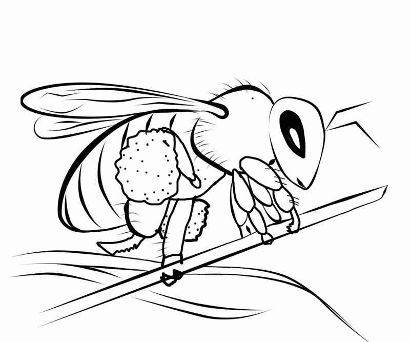 Free Printable Bee Coloring Pages For Kids