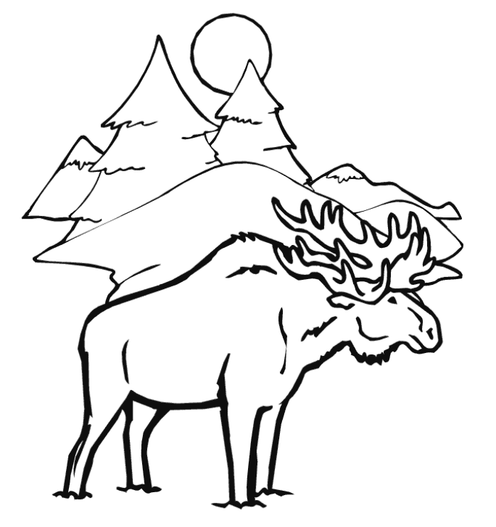 winter animal coloring pages or moose
