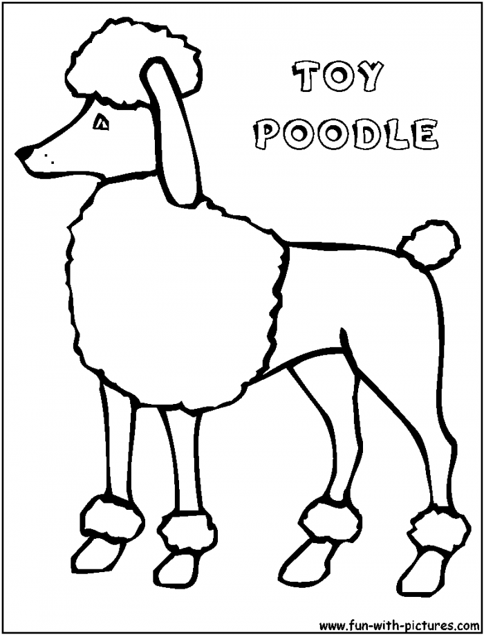Poodle Coloring Page For Kids