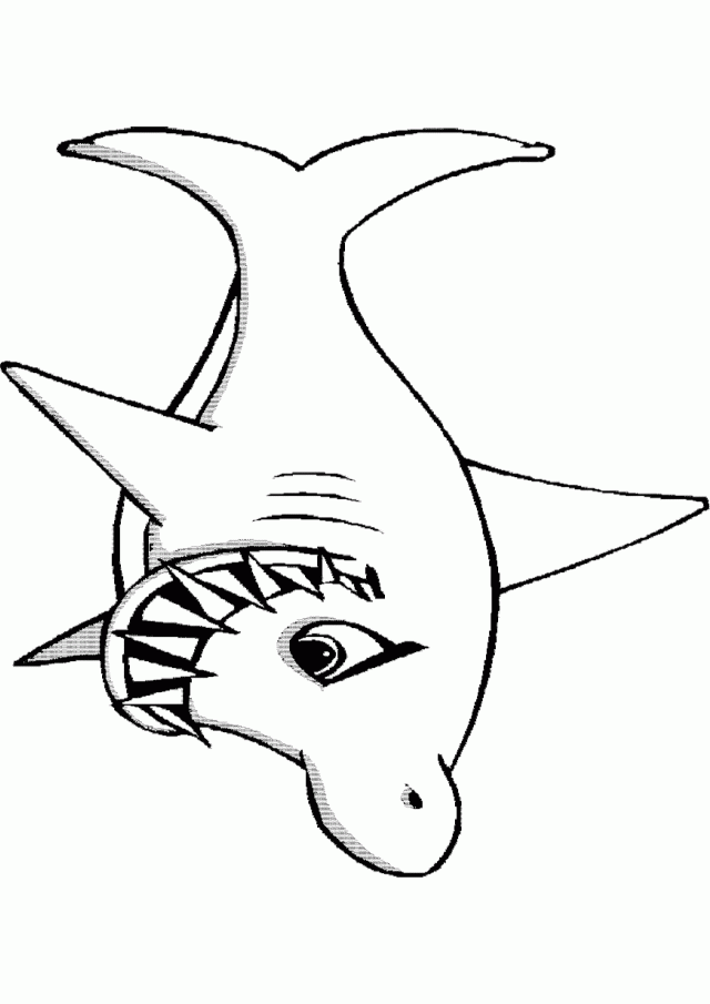Shark Animal Coloring Pages Free Coloring Pages Download 133293 