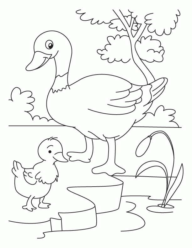 Ugly Duckling Coloring Pages - Coloring Home