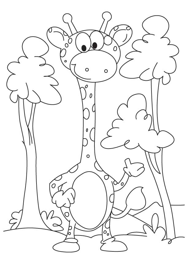 Little giraffe coloring page | Download Free Little giraffe 