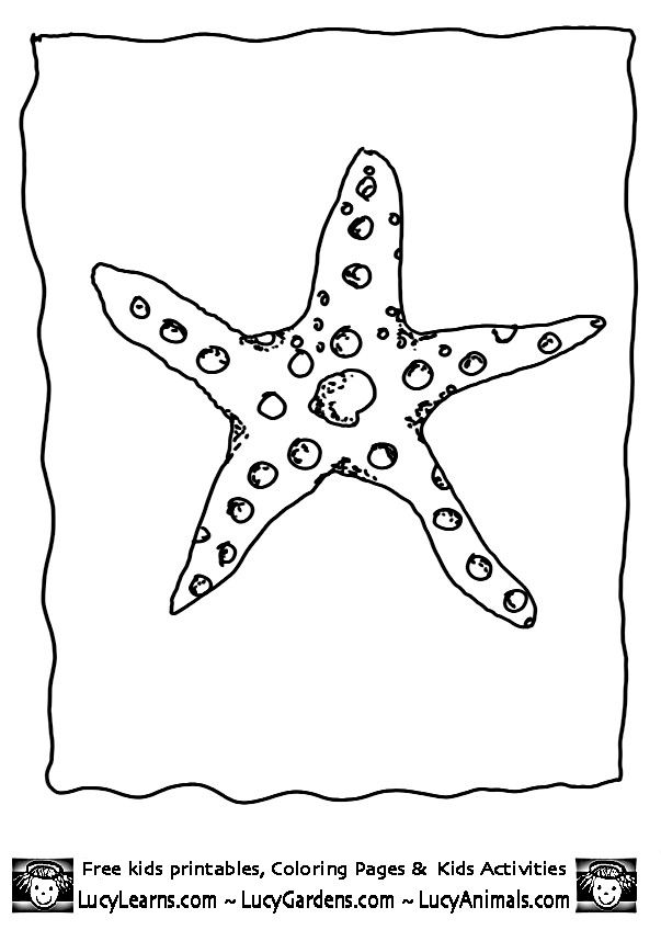 Sea Creature Coloring Pages | Printable Coloring Pages