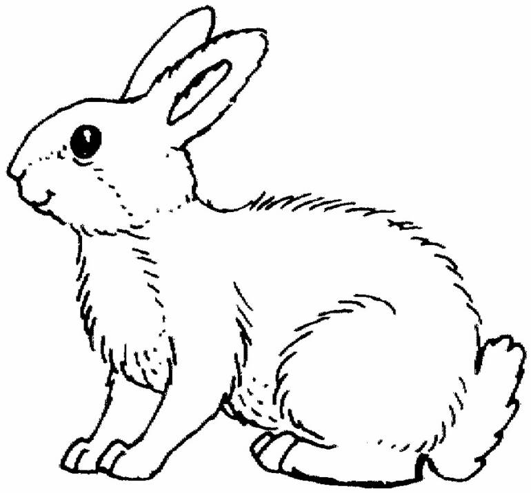 Nice and Cute Rabbit Coloring Pages for Rabbit Lovers