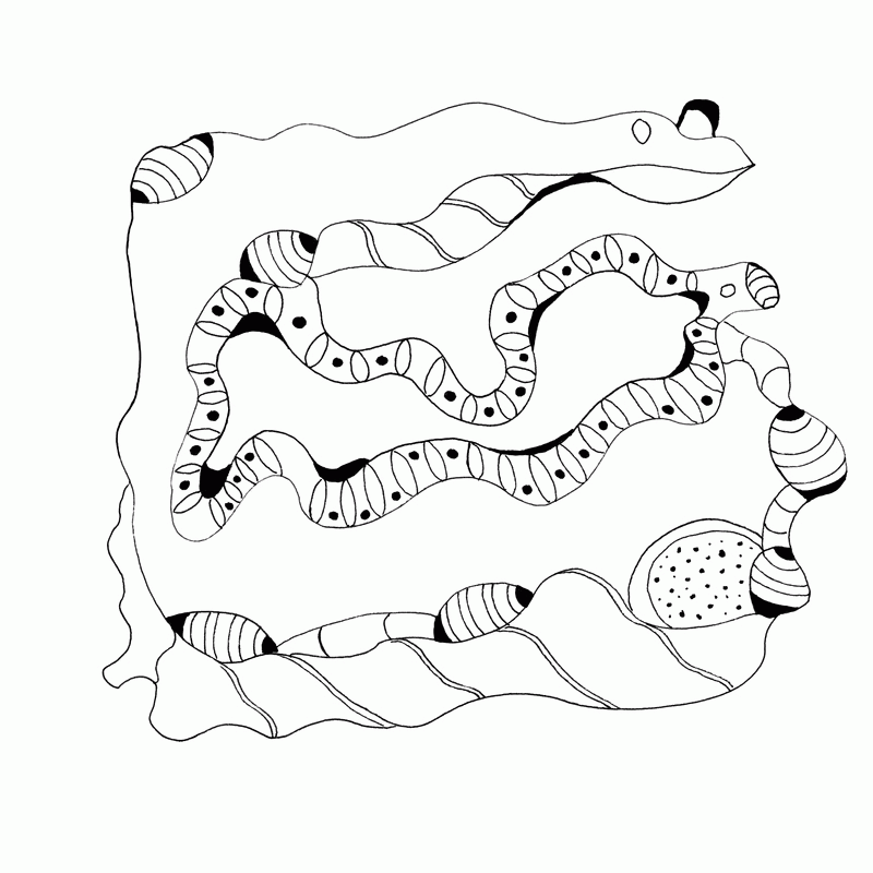Sample Coloring Pages - WIGGLY SQUIGGLIES ARTCOLORING BOOKS