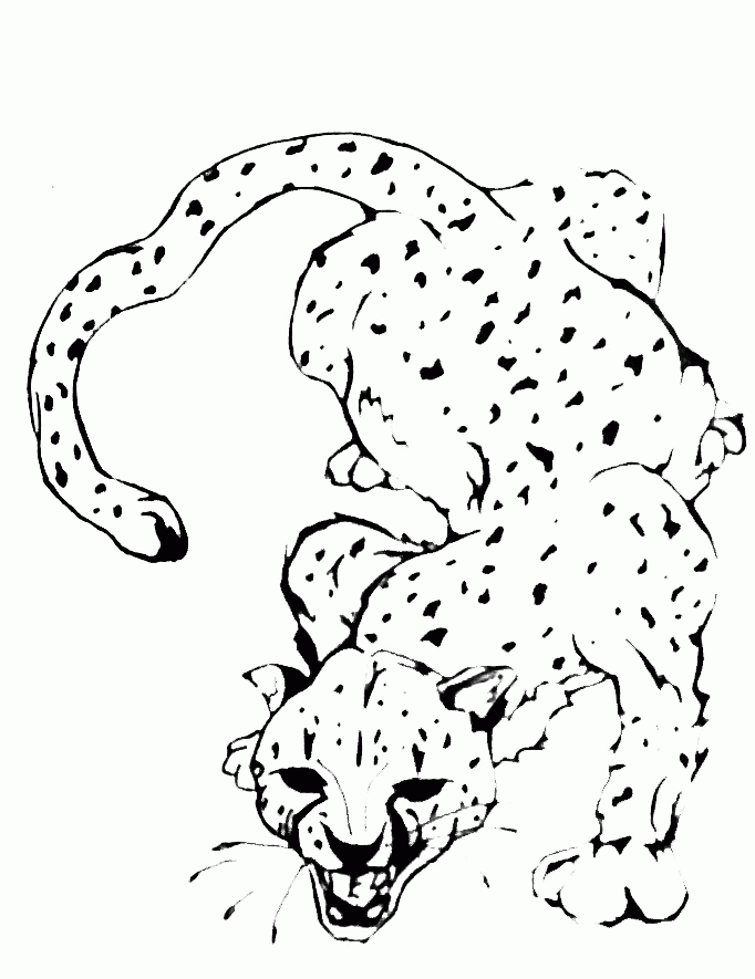 cheetah tat by djangelboy on deviantART