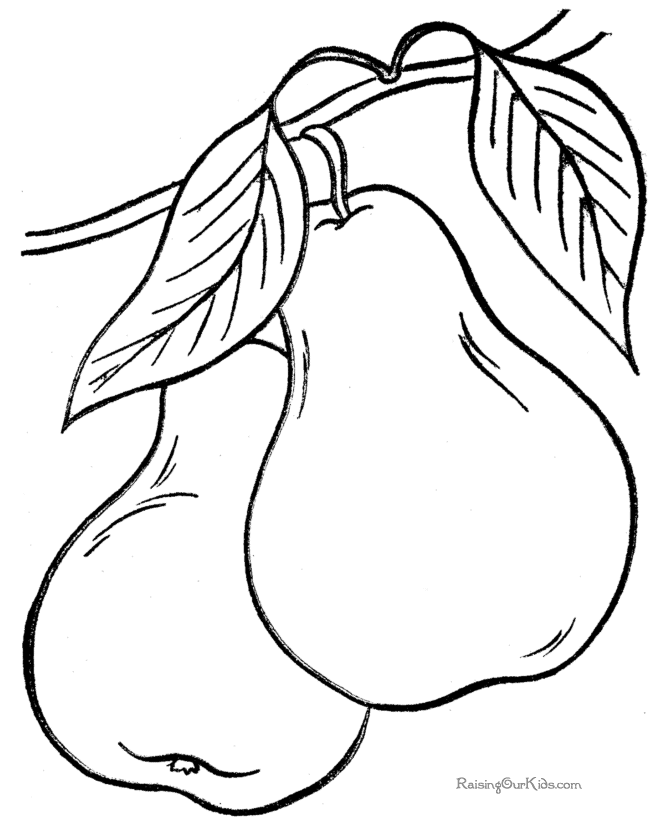 Pears coloring sheets to print and color | Health and anatomy: Kropp,…