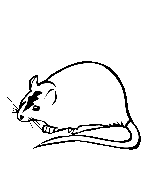 Rat Coloring Pages - Coloring Home