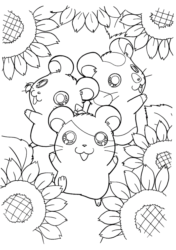 Hamster Pictures To Print Coloring Home
