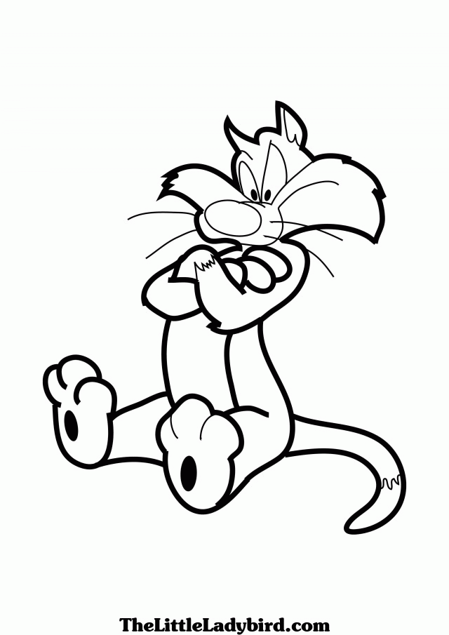 Sylvester The Cat Coloring Pages Tweety Bird Coloring Pages 207276 