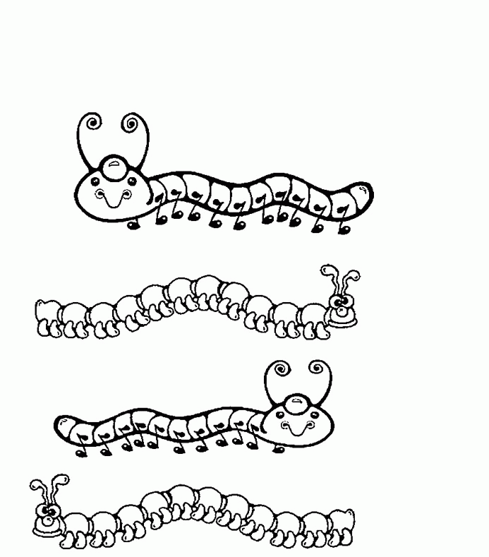 Download A Long Caterpillar Coloring Page Or Print A Long 