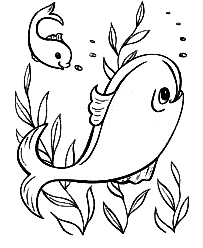 Coloring pictures of fish