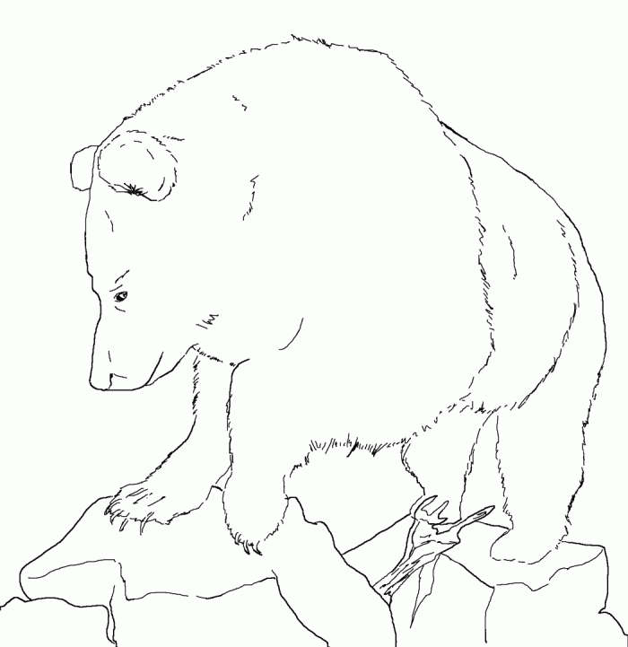Grizzly Bear Coloring Pages Free
