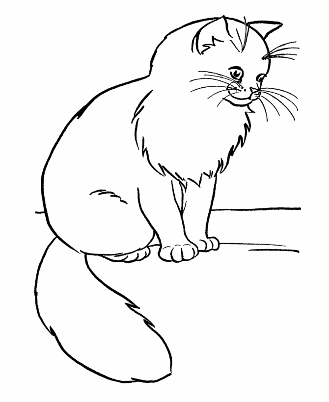 Watchful mouser Cat Coloring Page