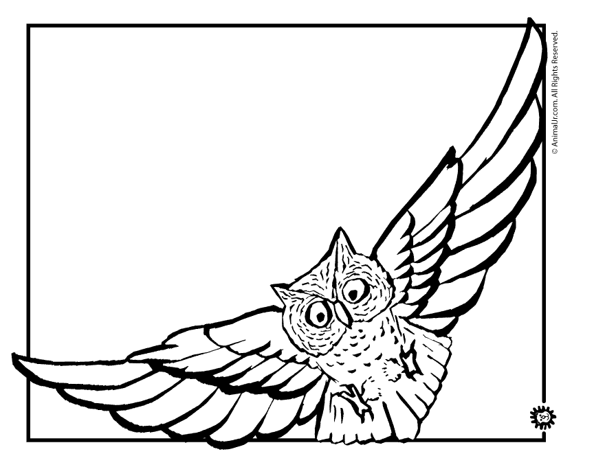 flying-owl-coloring-page | Classroom Jr.