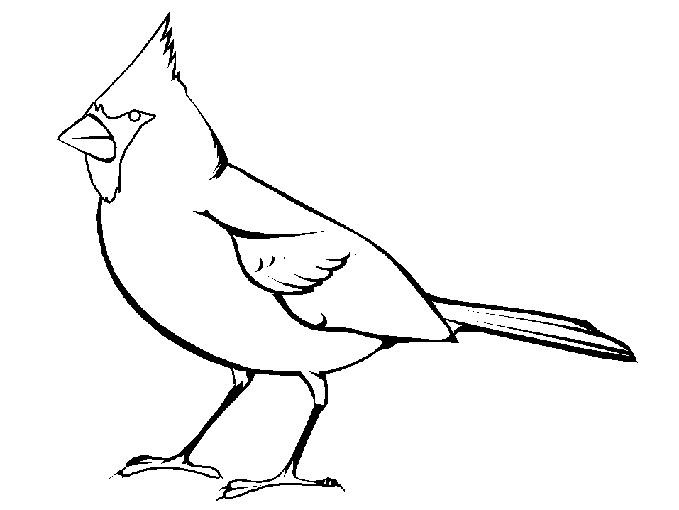 Download Cardinal Coloring Pages Coloring Home