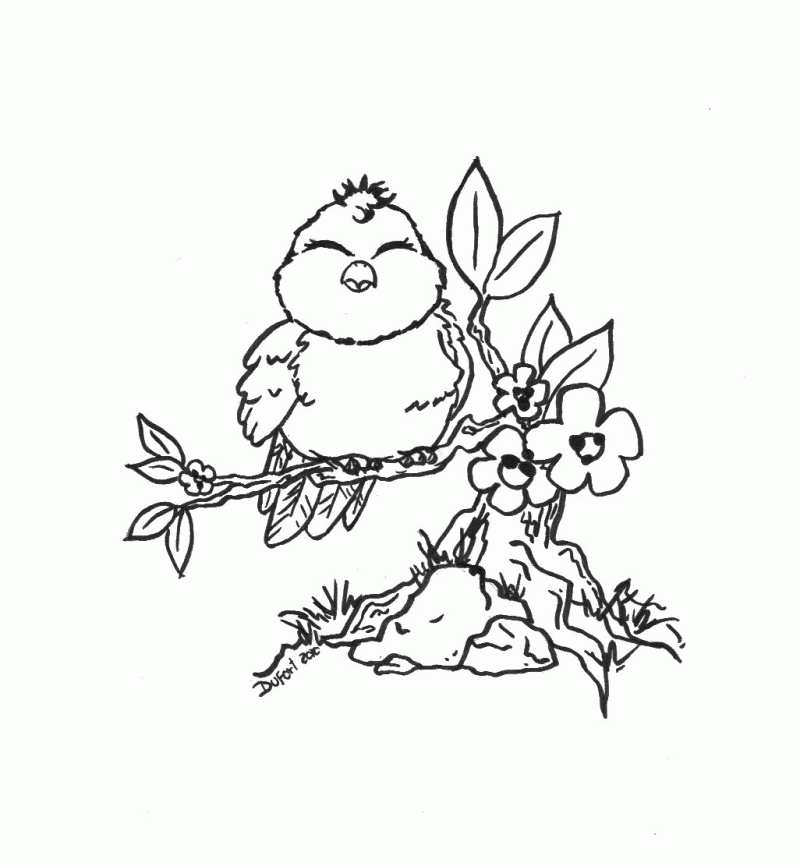 Coloring pages of tweety bird coloring pages pictures imagixs