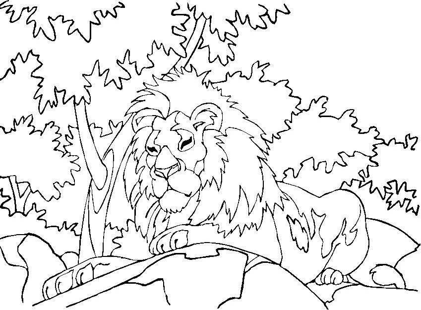 Coloring Page - Lion animal coloring pages 12