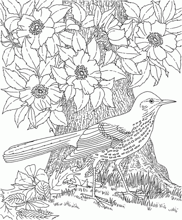 Complicated Coloring Pages Printable | 99coloring.com