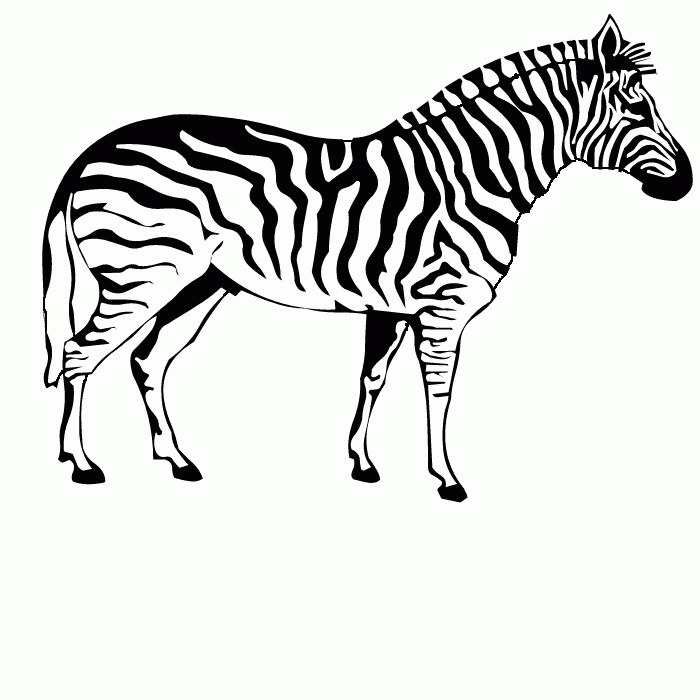 Zebra Coloring Pages - Free Printable Pictures Coloring Pages For Kids
