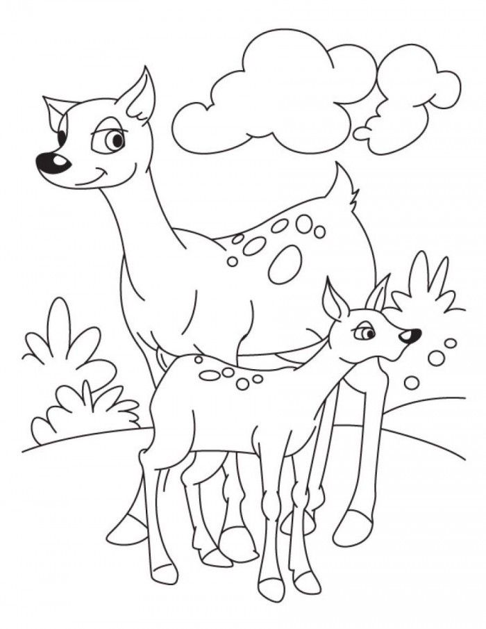 Deer And Fawn Coloring Pages
