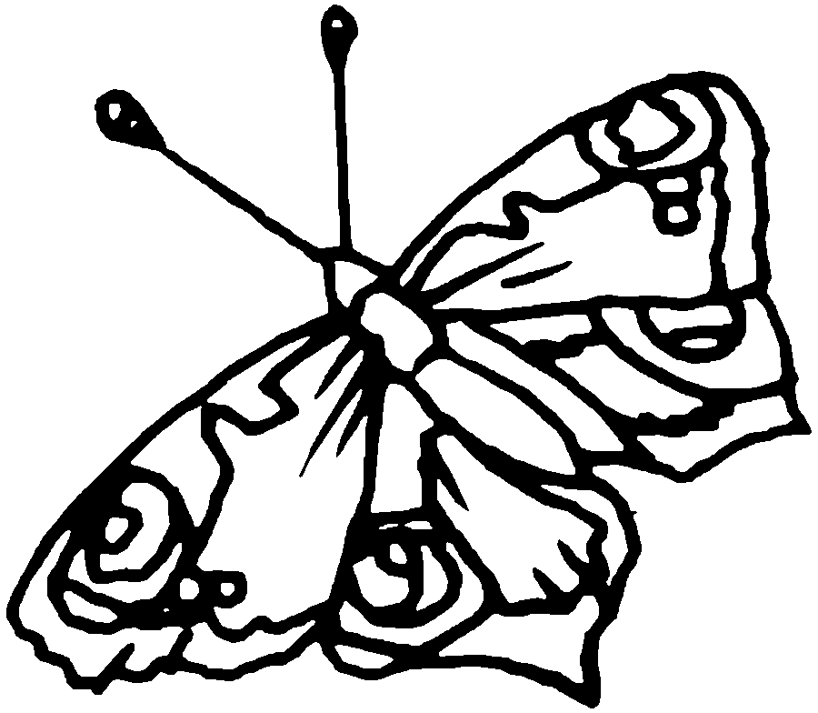 Coloring Pages Butterfly | Free coloring pages