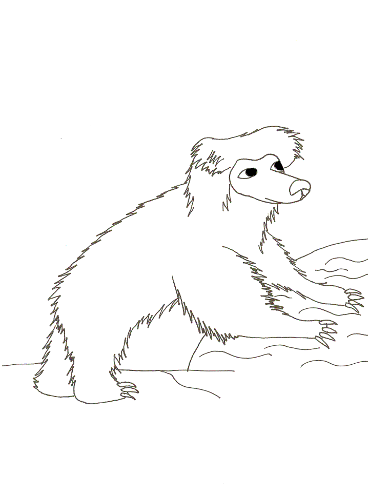 Printable Bears 23 Animals Coloring Pages