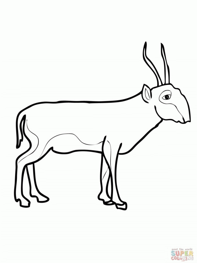 Download Picture Of An Antelope - Coloring Home