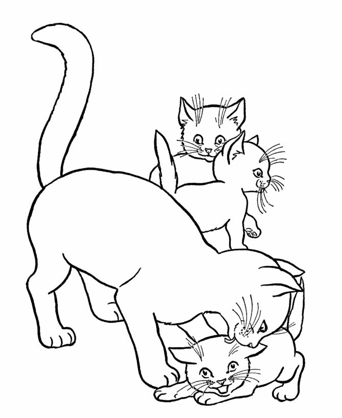Cat Coloring Pages Printable | download free printable coloring pages