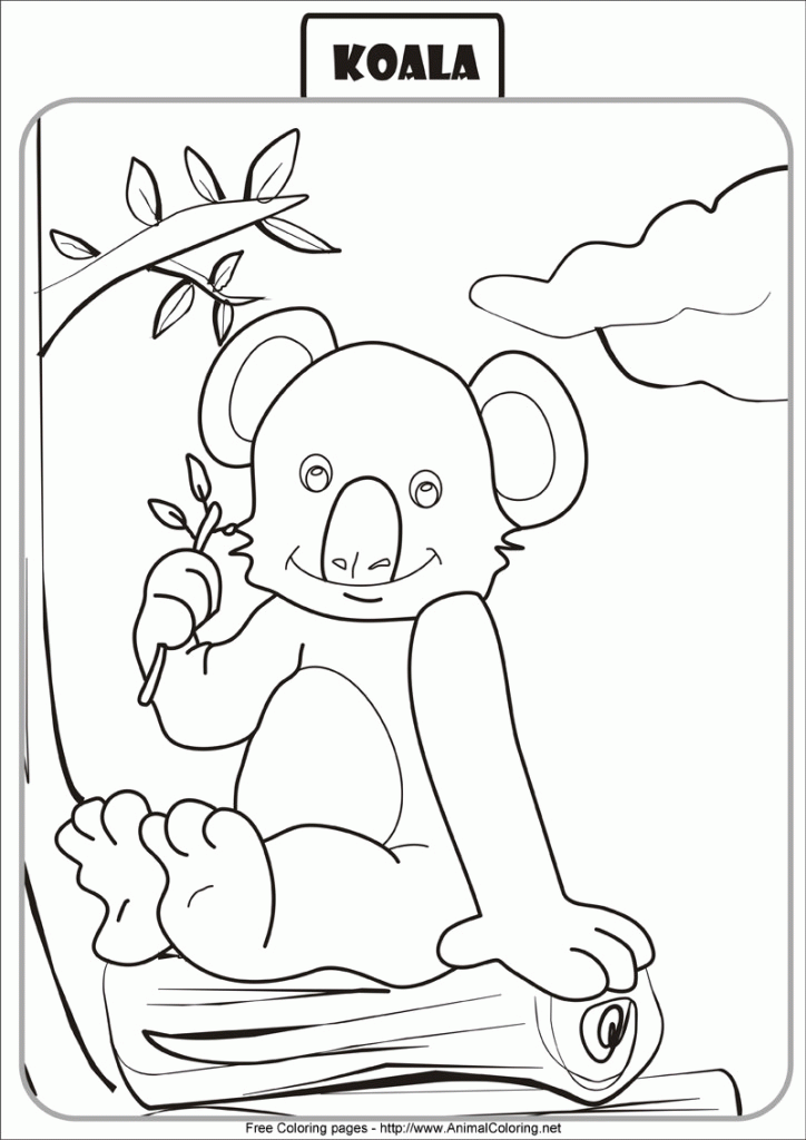 Educational Koala Coloring Page | Laptopezine.