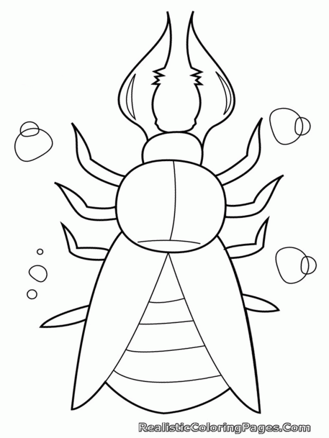 Realistic Insects Coloring Pages For Kids Printable Inspiring 