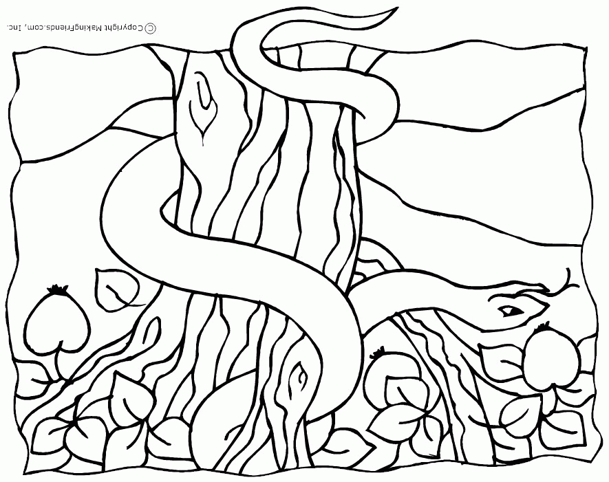 328 Animal Dltk Bible Coloring Pages 