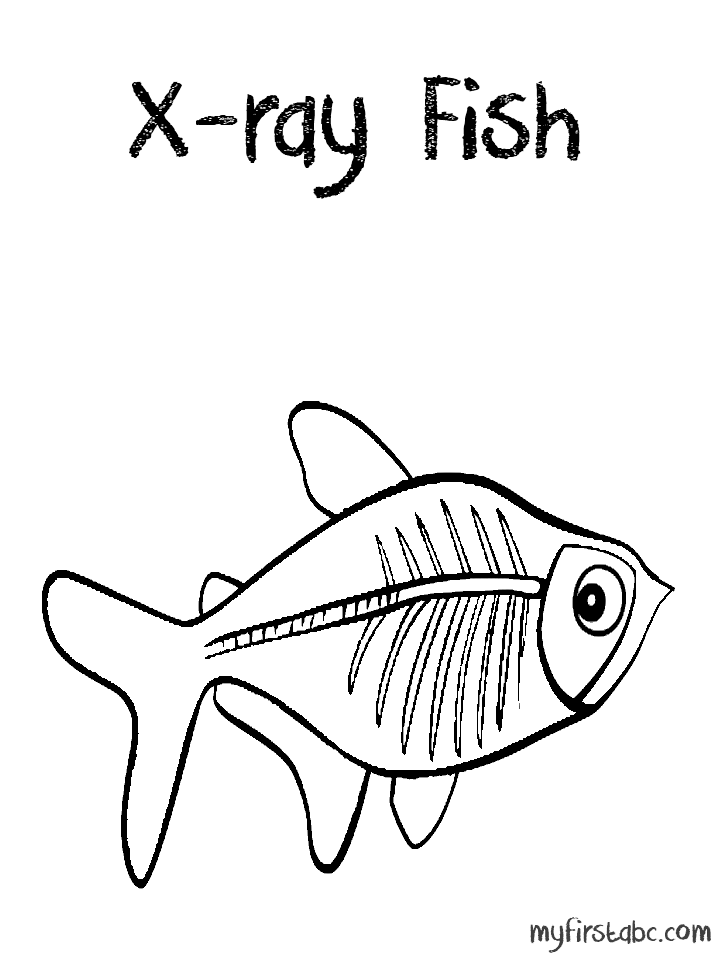 Download X Ray Fish Coloring Page - Coloring Home
