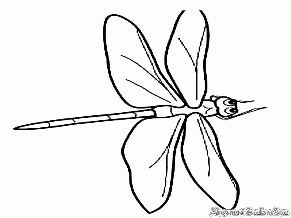 Dragonfly Coloring Page Ted Coloring Pages 187758 Dragonfly 