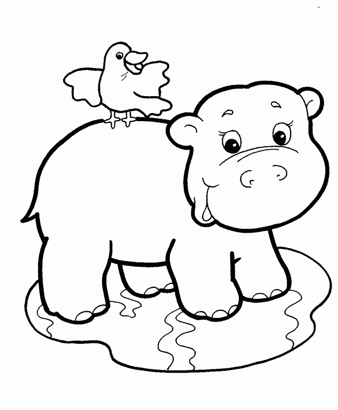 Pictures-of-baby-animals-to-color |coloring pages for adults 