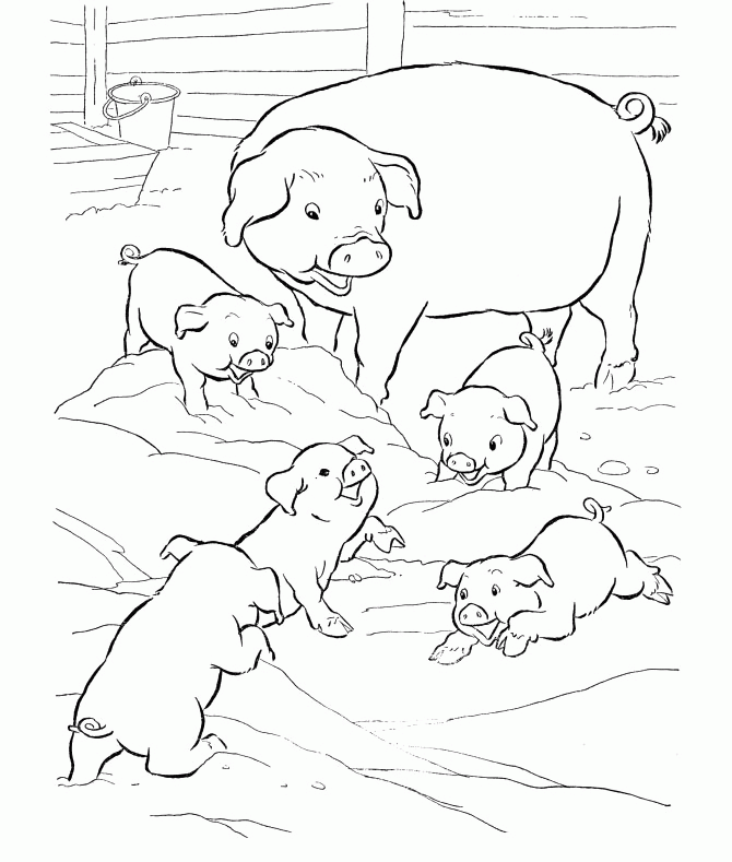 Pig Family Coloring Pages - Animal Coloring Pages : Girls Coloring 