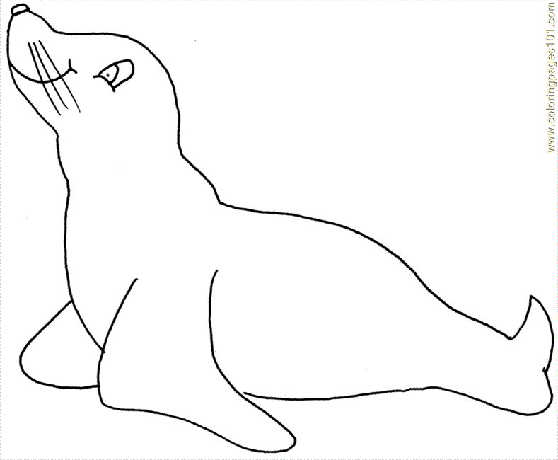 e seal Colouring Pages (page 2)