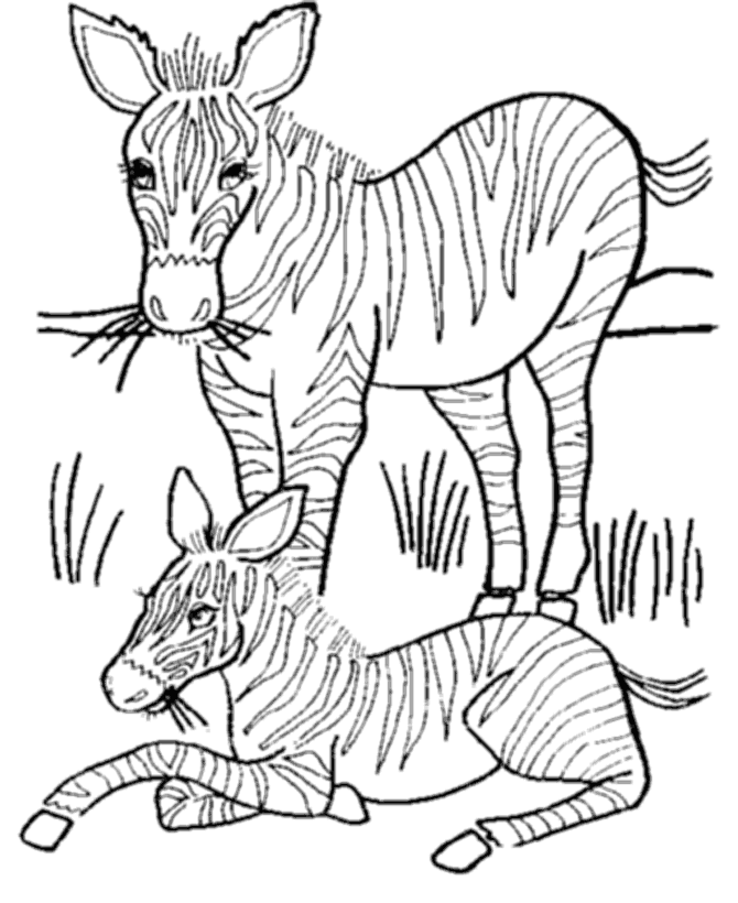 Wild Animal Coloring Page - Coloring Home