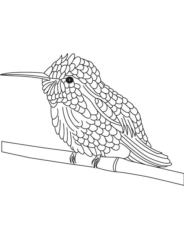 Small hummingbird coloring pages, Kids Coloring pages, Free 