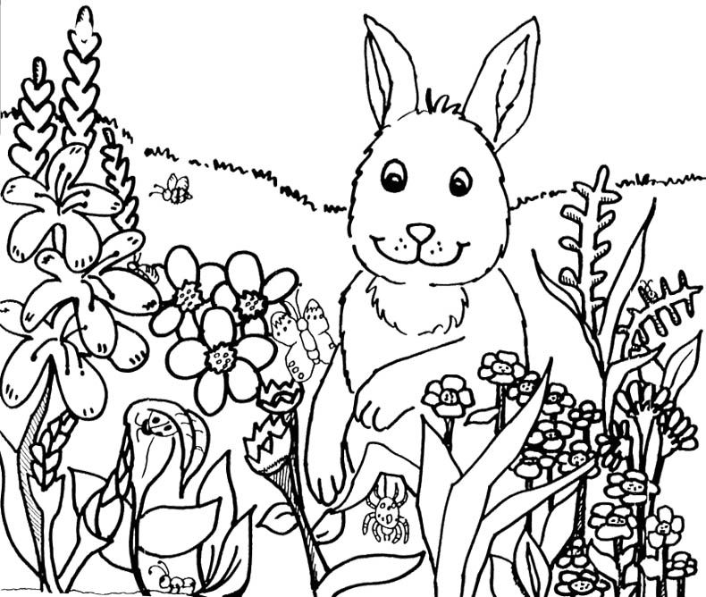 Rabbit Happy Spring Flower Coloring Pages For Kids - Spring Flower 