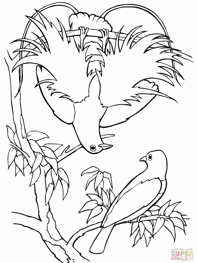Blue Bird Of Paradise Coloring Page Id 70540 Uncategorized Yoand 