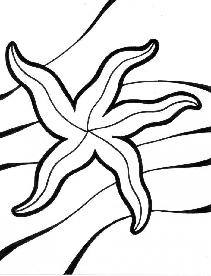 Starfish Coloring Page Educations | 99coloring.