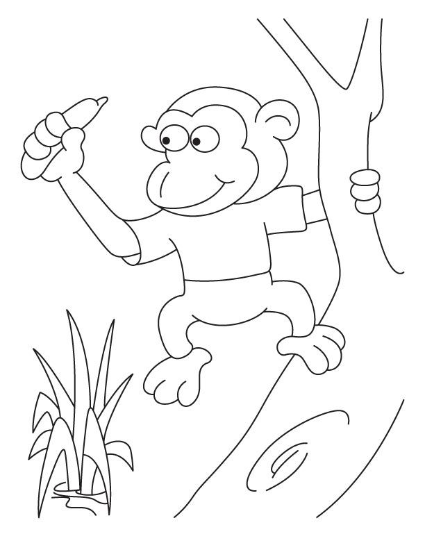 Spider Monkey Coloring Pages.
