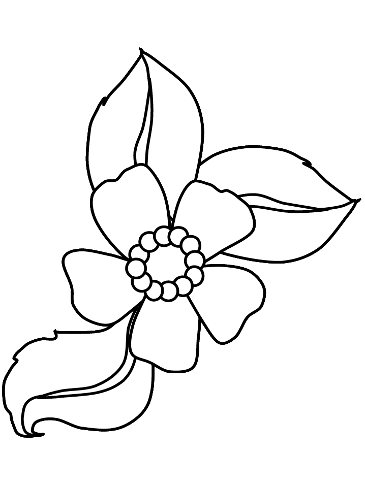 Colouring Pages Of Flowers