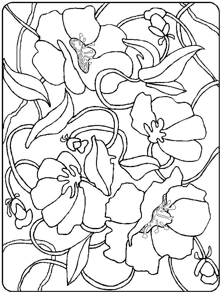 remembrance day coloring pages  coloring home