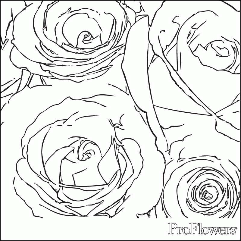 hearts and roses coloring pages - Quoteko.